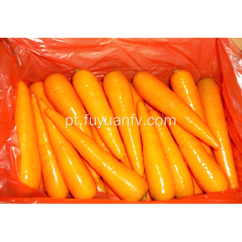 Cenoura fresca de alta qualidade